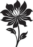 dalia fiore silhouette vettore illustrazione bianca sfondo