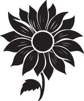 girasole silhouette vettore illustrazione bianca sfondo