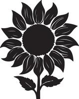 girasole silhouette vettore illustrazione bianca sfondo