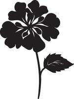 ortensia fiore silhouette vettore illustrazione bianca sfondo