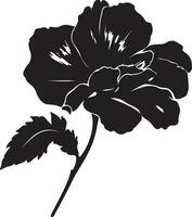 begonia fiore silhouette vettore illustrazione bianca sfondo