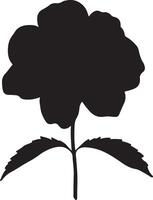 ortensia fiore silhouette vettore illustrazione bianca sfondo