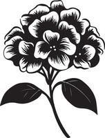 ortensia fiore silhouette vettore illustrazione bianca sfondo