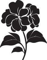 ortensia fiore silhouette vettore illustrazione bianca sfondo