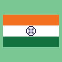 India bandiera vettore .