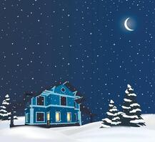 vettore notte inverno nevoso campagna Villetta illustrazione