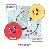 endocrino sistema funzione. cellulare metabolismo. biochimica reazione vettore