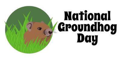 nazionale marmotta giorno, orizzontale manifesto o bandiera design con carino animale vettore