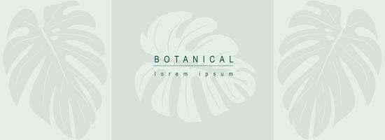 botanico astratto sfondo con floreale linea arte design. orizzontale ragnatela bandiera nel minimo stile con verde le foglie di mostri, sagome di tropicale giungla pianta fogliame. vettore illustrazione.