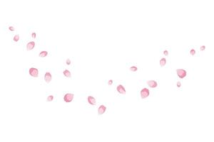 sfondo di volante rosa rosa petali. vettore illustrazione per coperchio, striscione, manifesto, carta, ragnatela e confezione.