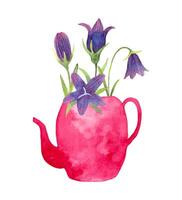 composizione di campanule nel un' giardino irrigazione Potere. acquerello illustrazione. rosa vaso con viola fiori, le foglie. mano disegno. semplice stilizzato stile. primavera botanico mazzo per pasqua.vettore vettore