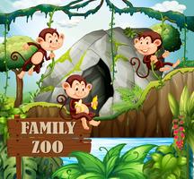 Famiglia delle scimmie nel giardino zoologico della natura vettore