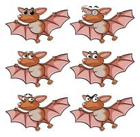 Pipistrello con diverse espressioni facciali vettore