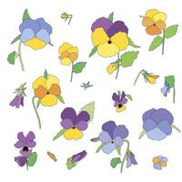 vettore impostato di mano disegnato primavera luminosa colorato viole del pensiero fiori con le foglie e steli