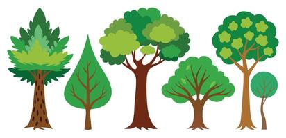 mano disegnato alberi collezione impostare, illustrazione vettore per Infografica o altro usi