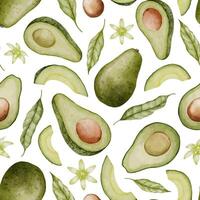 avocado senza soluzione di continuità modello. acquerello sfondo di verde cibo. mano disegnato isolato illustrazione. disegno di frutta con un' fiore. botanico pittura di verdura e le foglie. vettore