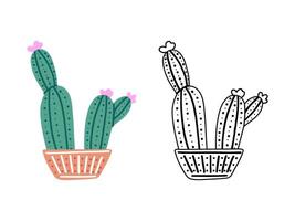 un' impostato di disegnato a mano schema e colorato vettore cactus isolato su bianca sfondo. scarabocchio e piatto stile illustrazioni di coperto di spine impianti, fioritura cactus, succulento impianti nel ceramica pentole. casa impianti