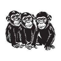 tre scimmia vettore arte, icone, e grafica