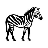 nero vettore zebra icona isolato su bianca sfondo