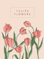 vivere vettore illustrazione tulipani silhouette contorno petali le foglie estate primavera botanica clipart Da donna giorno, di madre, nozze invito, modello, saluto carta, floreale disegno, fiori, impianti