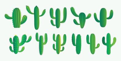 verde cactus e succulento pianta impostato design vettore