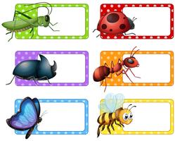 Etichette quadrate e molti insetti vettore