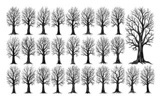 ai generato illustrazione di morto albero pianta silhouette design fascio vettore