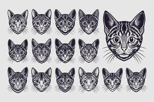 ai generato fascio di carino americano wirehair gatto viso illustrazione design vettore