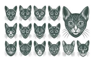 ai generato havana Marrone gatto testa maglietta illustrazione design fascio vettore