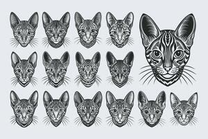 ai generato piatto dettagliato ocicat animale domestico testa illustrazione design impostato vettore