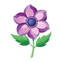 anemone fiore illustrazione su bianca sfondo vettore