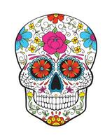 messicano zucchero cranio. giorno di il morto colorato cranio con floreale ornamento. vettore