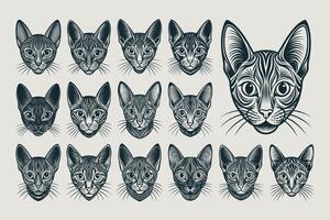 ai generato impostato di dettagliato singapura gatto viso illustrazione design vettore
