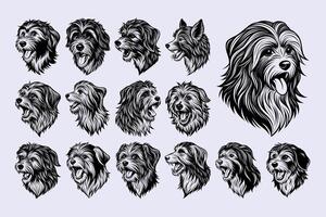 ai generato lato Visualizza di havanese cane testa etichetta illustrazione design impostato vettore