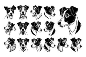 ai generato illustrazione di Jack russell terrier cane testa etichetta design impostato vettore
