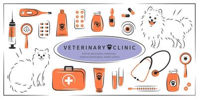 veterinario clinica. grande impostato di utensili per veterinario Ospedale. animale vaccinazione, medicinali, medico visita medica, Salute controllo, trattamento. vettore illustrazione