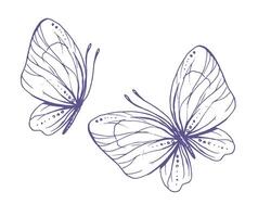 delicato farfalle con modelli su il Ali, semplice, dolce, luce, romantico. illustrazione graficamente disegnato a mano nel lilla inchiostro nel linea stile. impostato di isolato eps vettore oggetti