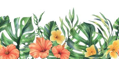tropicale palma foglie, Monstera e fiori di plumeria, ibisco, luminosa succoso. mano disegnato acquerello botanico illustrazione. senza soluzione di continuità confine è isolato a partire dal il sfondo vettore