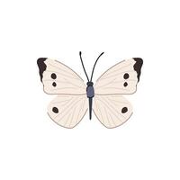 animale farfalla cartone animato vettore illustrazione