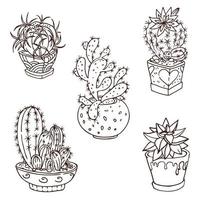 set di cactus in vasi decorati. vettore