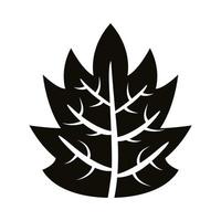 icona di stile silhouette foglia palmata autunno vettore