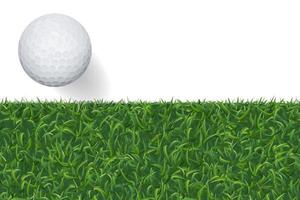 pallina da golf e sfondo di erba verde con area per lo spazio della copia. vettore. vettore