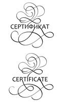 la parola del certificato con flourish su fondo bianco. Illustrazione EPS10 di vettore dell&#39;iscrizione di calligrafia