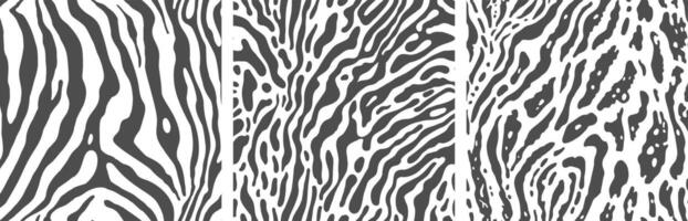 impostato di monocromatico zebra Stampa sfondi. vettore