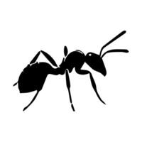 illustrazione con formica sagome isolato su bianca sfondo vettore
