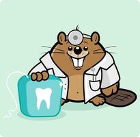 cartone animato castoro dentista con pulito denti Tenere un' dentale filo interdentale. castoro dentista medico. vettore illustrazione