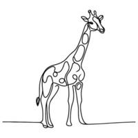 continuo singolo mano disegno nero linea arte di giraffa in piedi schema scarabocchio cartone animato schizzo stile vettore illustrazione su bianca sfondo