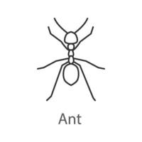 icona lineare di formica. insetto. illustrazione di linea sottile. simbolo di contorno. disegno vettoriale isolato contorno