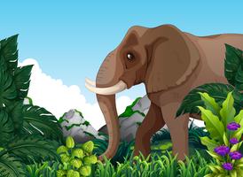 Un elefante nella foresta vettore
