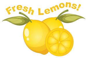 Limoni freschi su sfondo bianco vettore